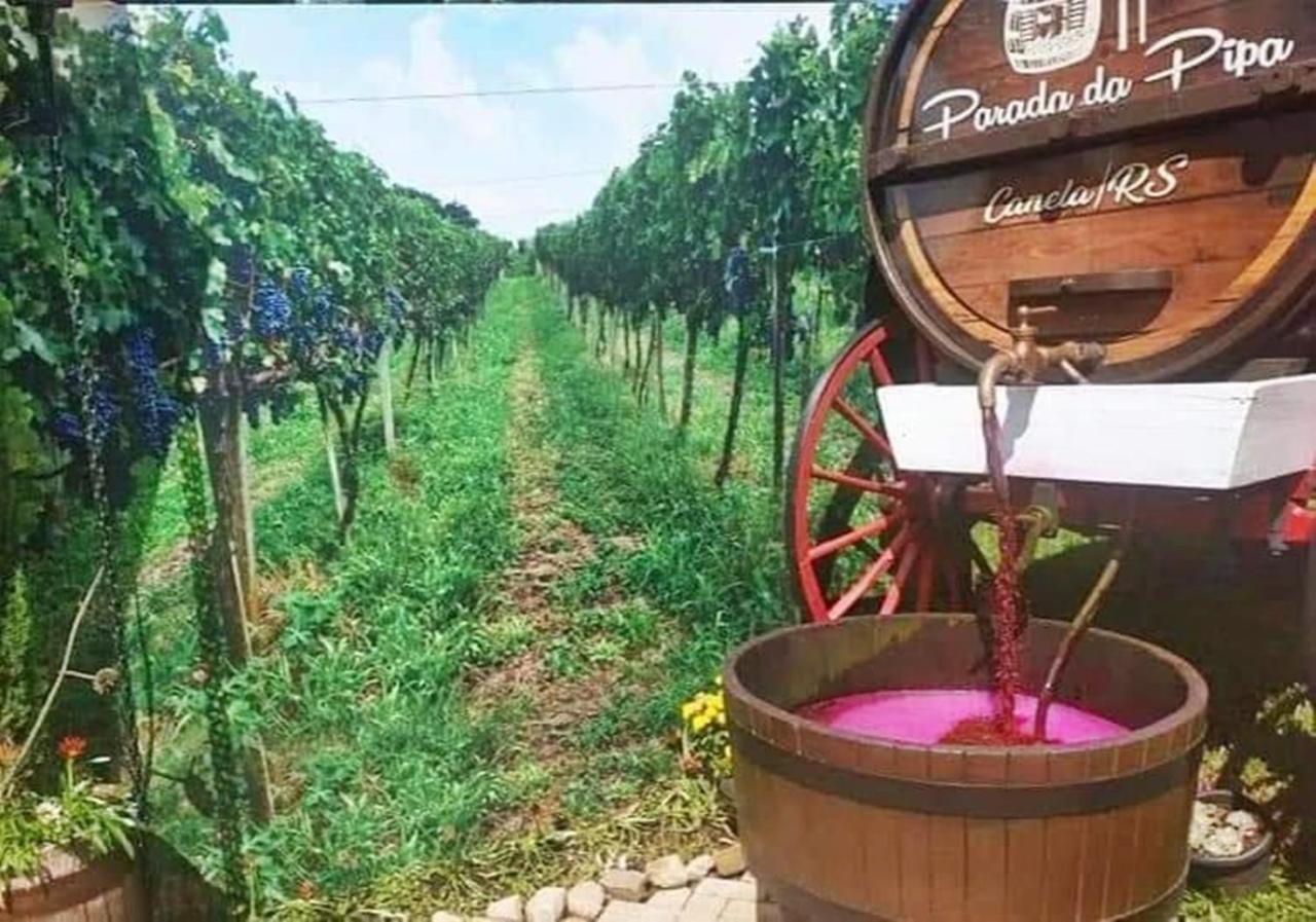 Chale Tematico Em Pipa De Vinho - Parada Da Pipa Chales Canela Exterior photo