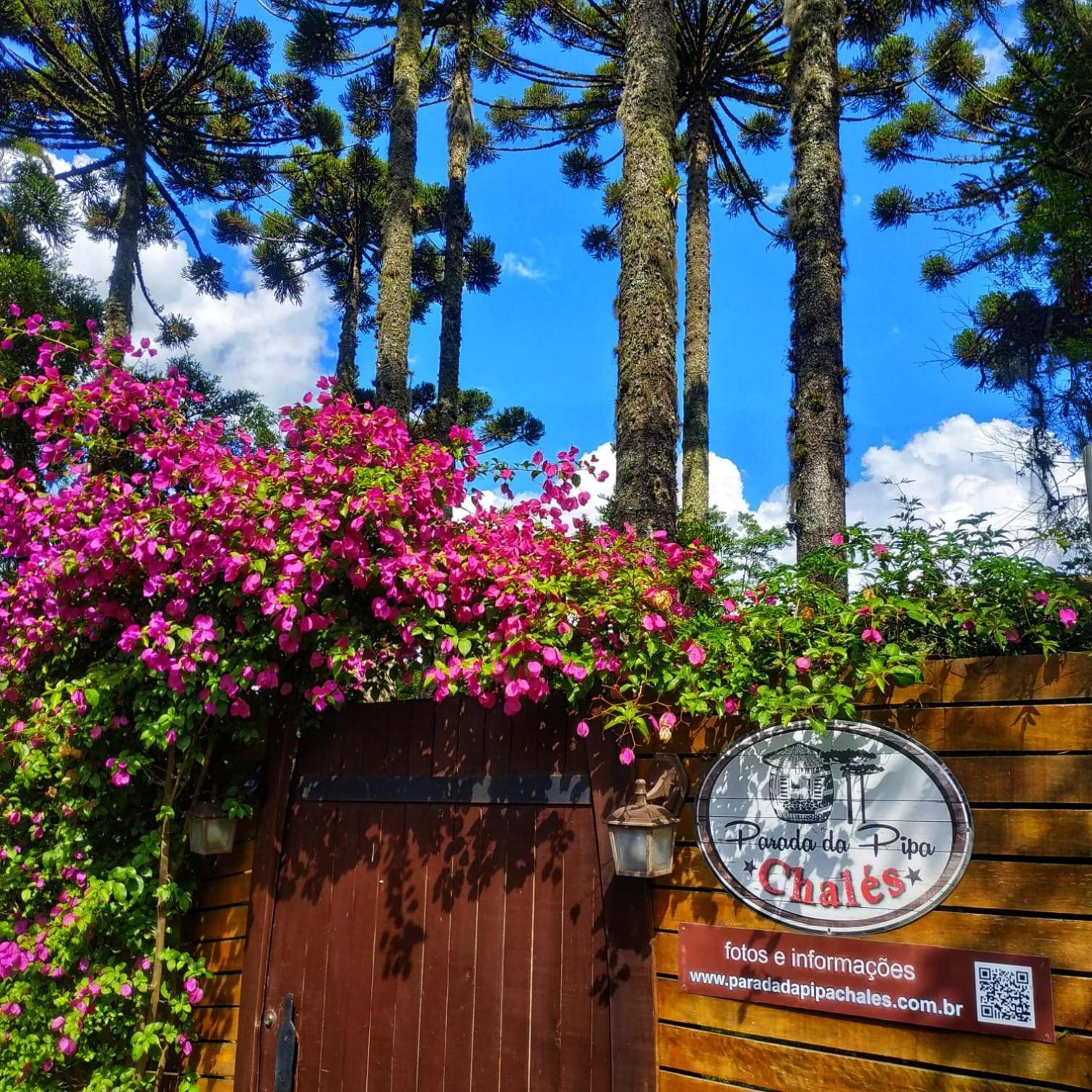 Chale Tematico Em Pipa De Vinho - Parada Da Pipa Chales Canela Exterior photo